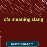 cfs meaning slang
