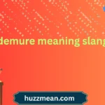 demure meaning slang