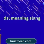 dsl meaning slang