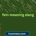 fein meaning slang