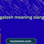 galosh meaning slang