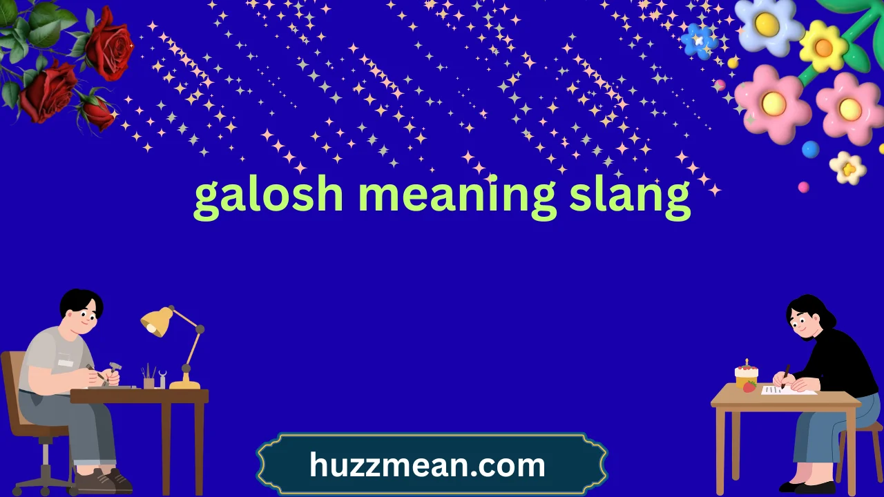 galosh meaning slang
