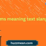 lms meaning text slang