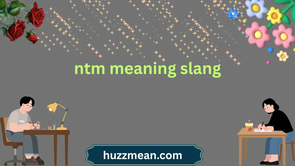 ntm meaning slang