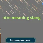 ntm meaning slang