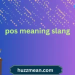 pos meaning slang
