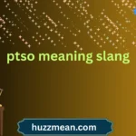 ptso meaning slang