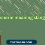 sherm meaning slang