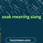 soak meaning slang
