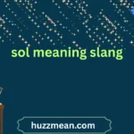 sol meaning slang