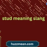 stud meaning slang