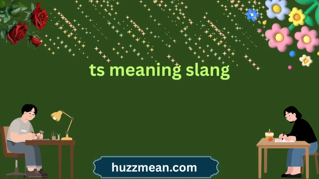 ts meaning slang