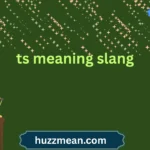 ts meaning slang