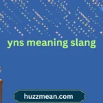 yns meaning slang