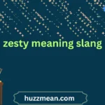 zesty meaning slang