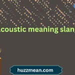 acoustic meaning slang