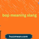 bop meaning slang