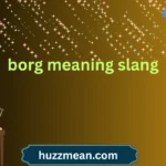 borg meaning slang