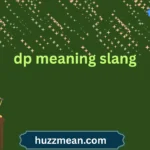 dp meaning slang