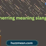 herring meaning slang