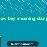 low key meaning slang