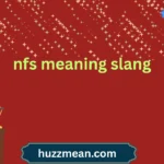 nfs meaning slang