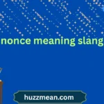 nonce meaning slang