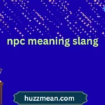 npc meaning slang