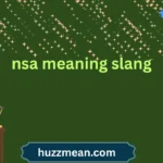 nsa meaning slang