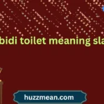 skibidi toilet meaning slang