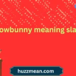 snowbunny meaning slang