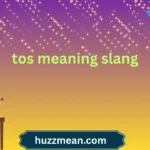 tos meaning slang