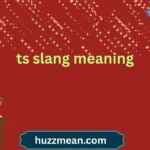ts slang meaning