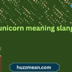 unicorn meaning slang