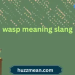 wasp meaning slang