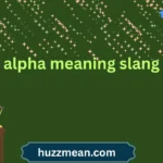 alpha meaning slang