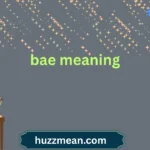 bae meaning