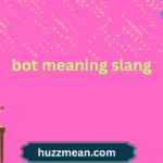 bot meaning slang