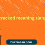 cracked meaning slang