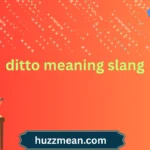 ditto meaning slang
