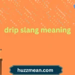 drip slang meaning