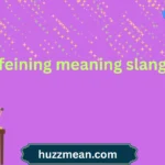 feining meaning slang