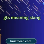 gts meaning slang