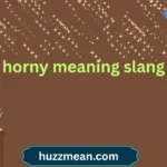 horny meaning slang