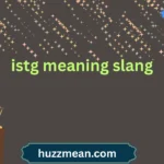 istg meaning slang