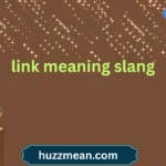 link meaning slang