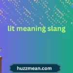 lit meaning slang