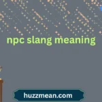 npc slang meaning