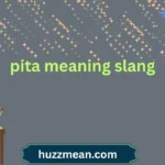 pita meaning slang