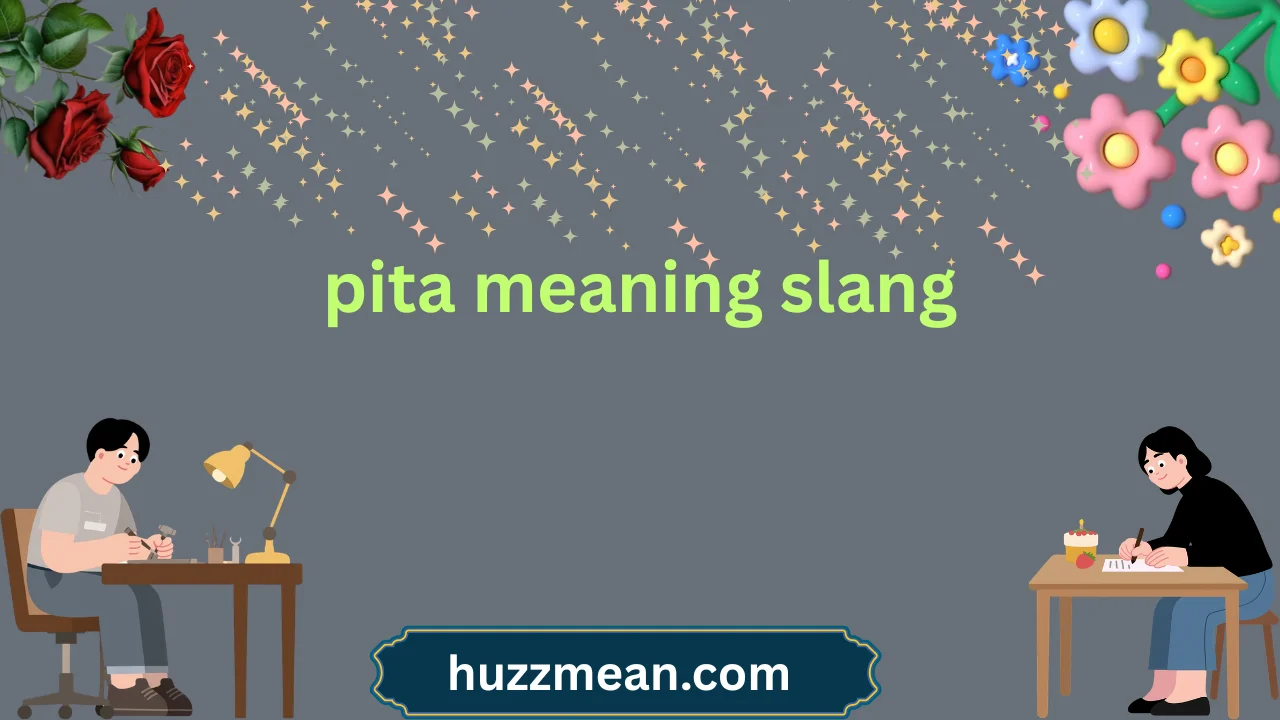 pita meaning slang